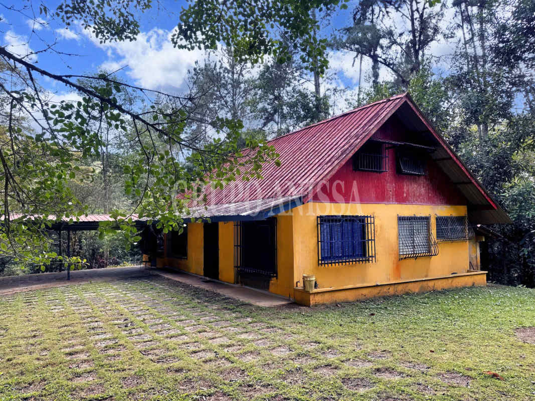 Rustic yellow house with large wooded yard Cerro Azul Panama