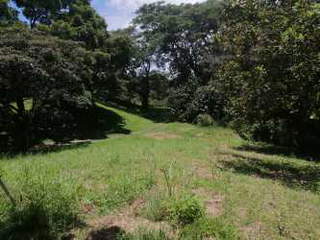 Land for Sale in Punta Barco - 0 bedrooms