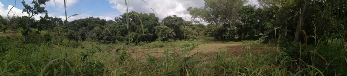 Natural wooded vacant lot close to beach in Punta Barco available for sale Panama