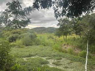 Land for Sale in La Peña - 0 bedrooms