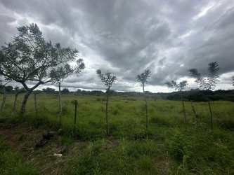 Lush vegetation with small lake, floating plants and distant hills under cloudy sky in Veraguas Panama