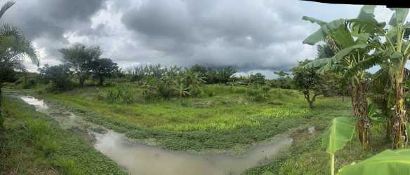 Panoramic view of fenced green field with trees and cloudy sky in La Peña Santiago Veraguas Panama
