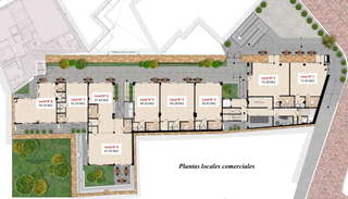 Commercial space for Rent in San Felipe - 0 bedrooms