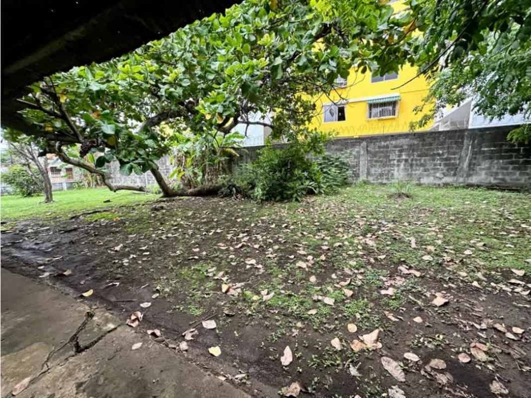 Large backyard with trees and wall ready for new build in Parque Lefevre Panama