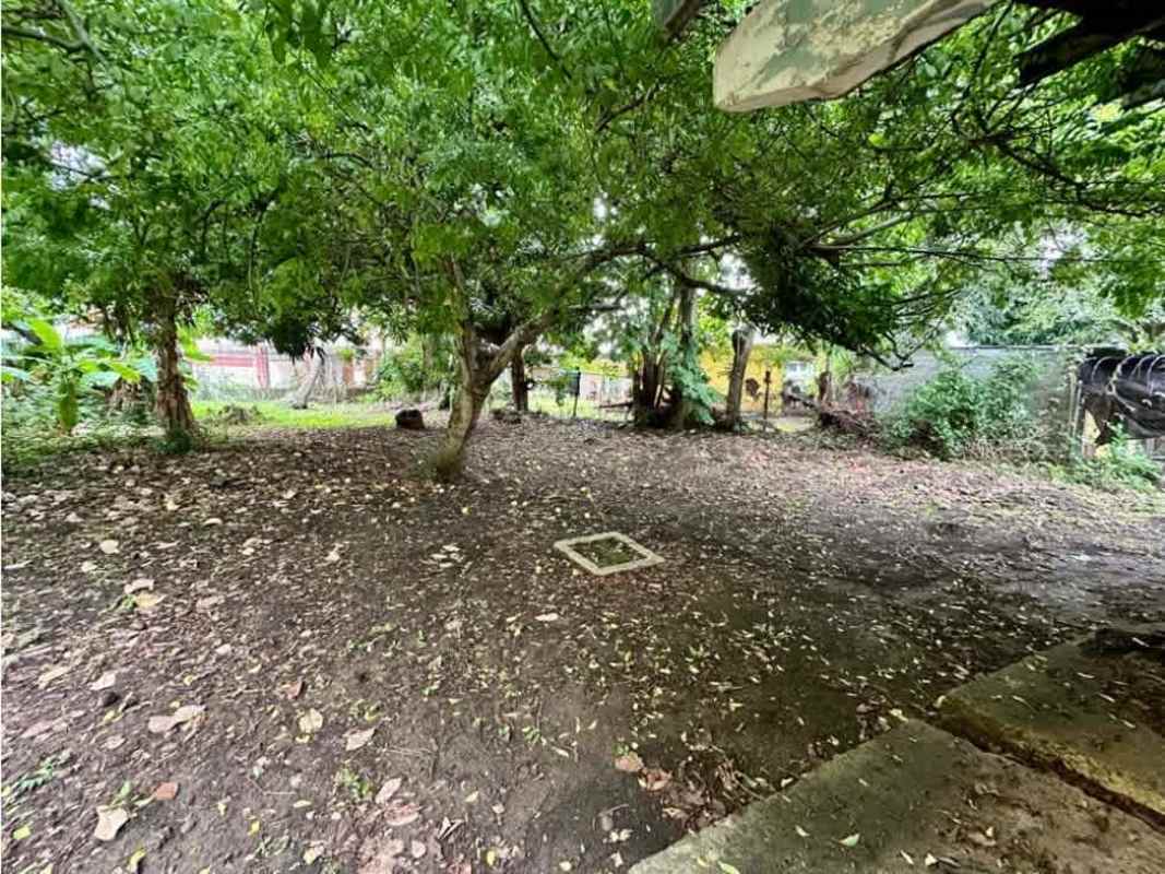 Shade trees and garden area in large residential lot Parque Lefevre Panama
