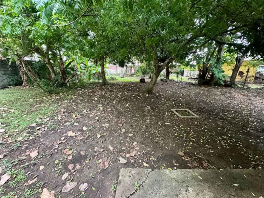 Green garden space at residential land Parque Lefevre Panama