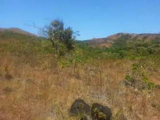 Land for Sale in San Carlos - 0 bedrooms