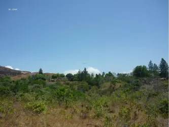Undeveloped hillside lot surrounded by vegetation in rural San Carlos Panama 22000m2