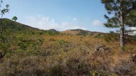 Open countryside plot with panoramic mountain and hills views San Carlos Panama 22000 m2