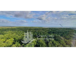 Apartment for Rent in Santa María - 3 bedrooms