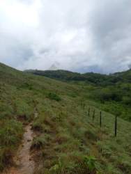 Hillside pasture and rural countryside perfect for agricultural use in Penonomé Coclé