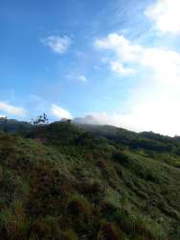 Agricultural and Cattle Land for Sale in La Pintada - 0 bedrooms