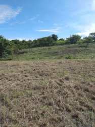Undeveloped empty lot with trees and sky El Palmar Panama