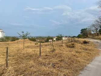 Dry terrain vacant lot with natural vegetation El Palmar San Carlos Panama