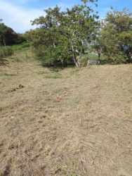 8,286 m² Beach Area Land in El Palmar San Carlos