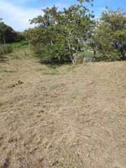 Land Lot for Sale in El Palmar - 0 bedrooms