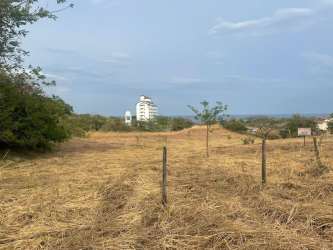 Dry grassy lot gently sloping with natural vegetation San Carlos Panama