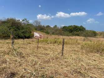 Open field with dry grass and distant trees at El Palmar near the beach