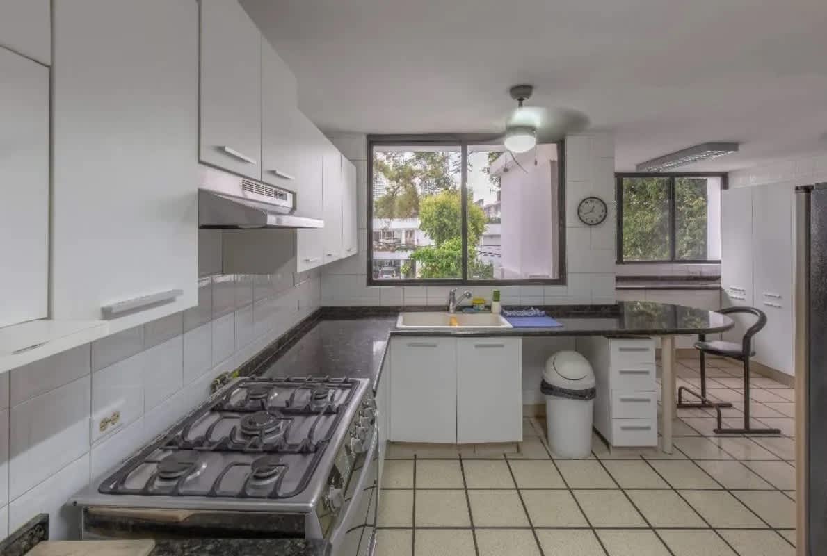 Tropical backyard with circular pool lush palms and privacy Obarrio Bella Vista