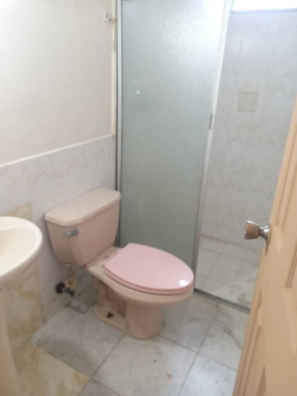 Bathroom with pink toilet, pedestal sink and frosted glass shower doors in Las Cumbres house Panama