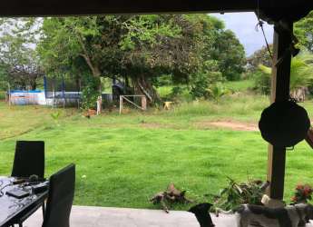 Spacious backyard with covered patio, lawn area, and above-ground swimming pool in Pedasí house