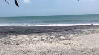 Land for Sale in Chame - 0 bedrooms