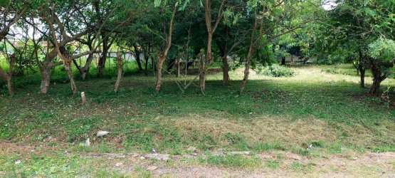 Shady residential lot covered with trees and grass close to Playa Gorgona Panama