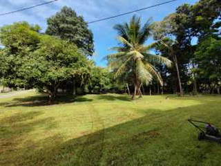 Land for Sale in Lídice - 3 bedrooms