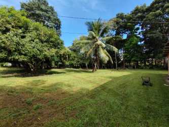 Green tropical backyard with palm, trees and open lawn under blue sky in Capira Panama