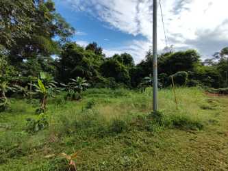 Rustic bungalow style house with porch in large green yard mature trees Capira Panama