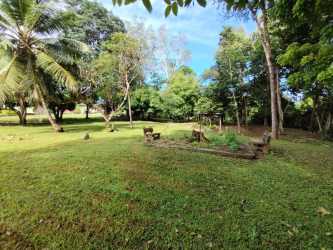 Tropical yard with mature trees, palm, clear sky, lawn mower on Capira Panama land