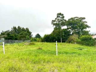 Land for Sale in Tierras Altas - 0 bedrooms