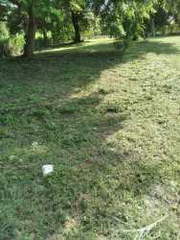 Land for Sale in Chame - 0 bedrooms