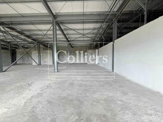 Commercial Retail Space for Rent in Pedregal - 0 bedrooms