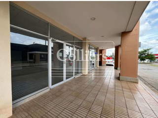 Commercial Space for Rent in Pedregal - 0 bedrooms