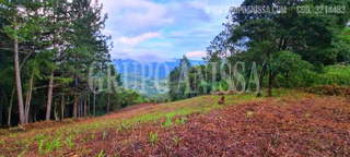 Land for Sale in Chame - 0 bedrooms