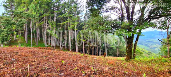 Forested slope ideal for custom mountain residence in Panama