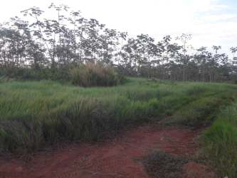 Large undeveloped land parcel with grassy area and dirt path La Chorrera Panama