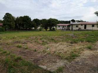 Vacant corner 968m2 lot with grass and nearby utilities located in Villa Cumbrera Penonomé