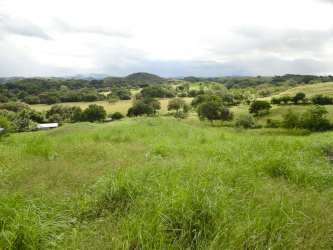 Open pasture with scattered trees on rolling terrain Guararé Los Santos ideal for farming Panama