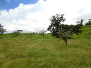 Land / Farm for Sale in Guararé - 0 bedrooms