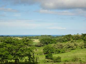 Open green fields with hills in countryside setting ideal for agriculture or development Guararé Panama