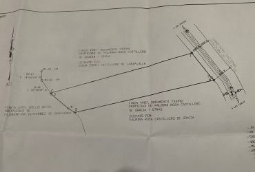 Survey showing 21,000m2 parcel bordered along main road Guararé Panama