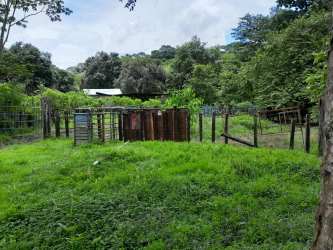 Fenced livestock pen with grass and trees in rural Cambutal Panama