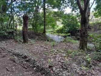 Thick forest canopy and valley on rural land in Cambutal Panama