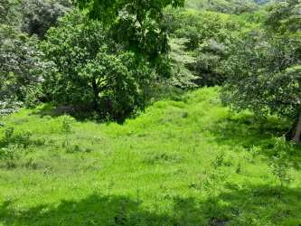 Rolling hills with farmland vegetation and mountain scenery Cambutal Panama