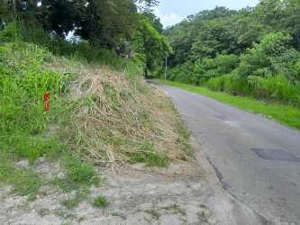 View of paved road with access to flat countryside land for sale Panama