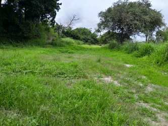 Flat buildable grassy lot near Pan-American Highway perfect for residential project Panama