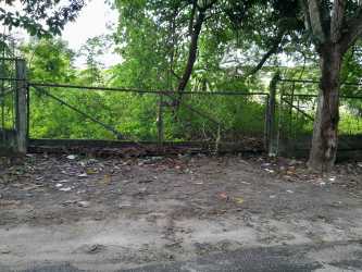 Metal fence entrance with trees and vegetation at 1230m² lot near Pan-American Highway Panama