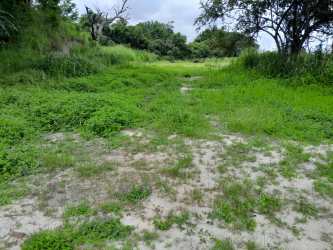 Rural vacant plot with natural landscape near Pacific Coast perfect for investment Panama